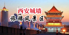 美女裸体被肏到哭丝袜骚逼射精上视频网站中国陕西-西安城墙旅游风景区